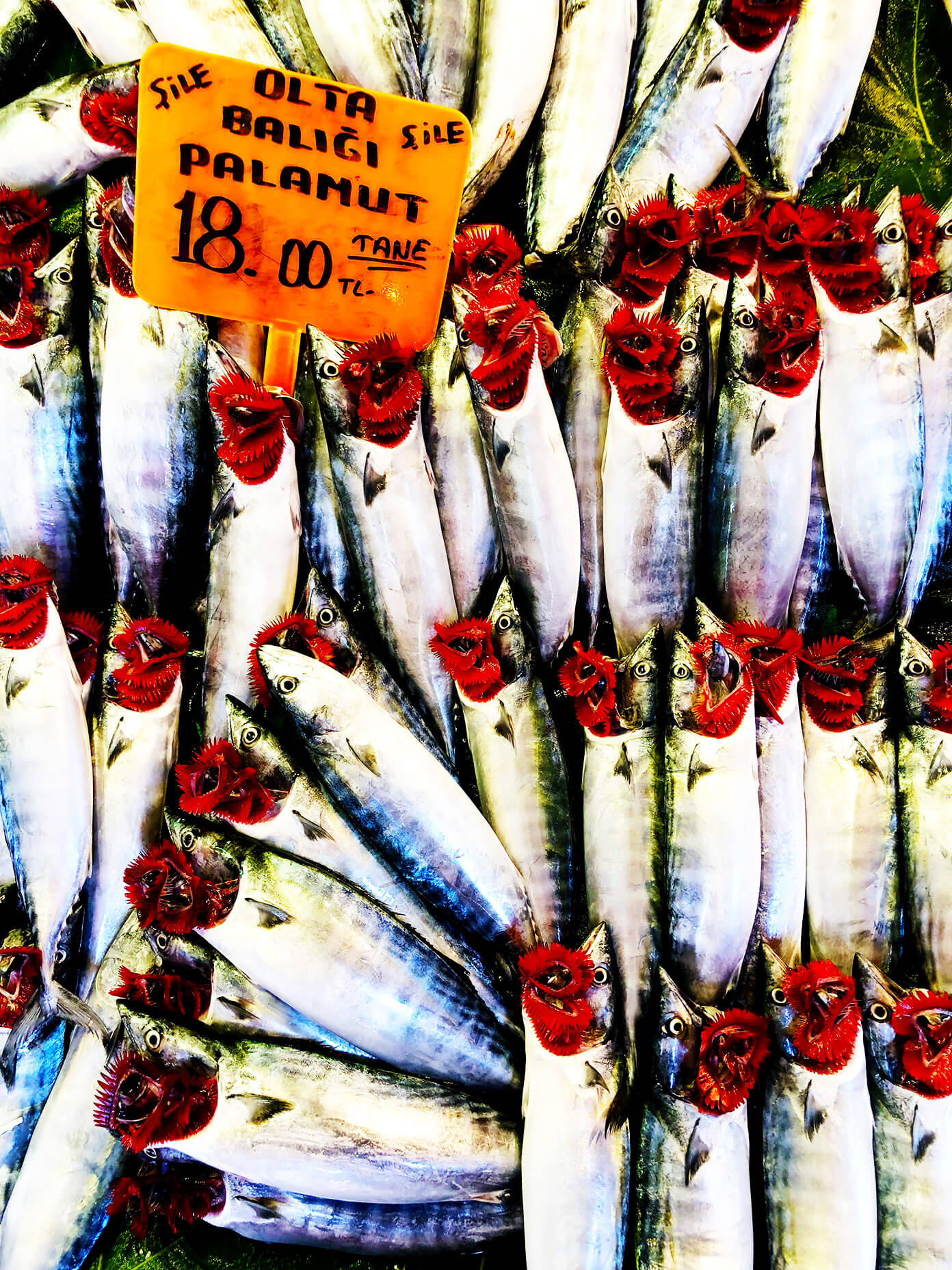 Istanbul Fish Markets