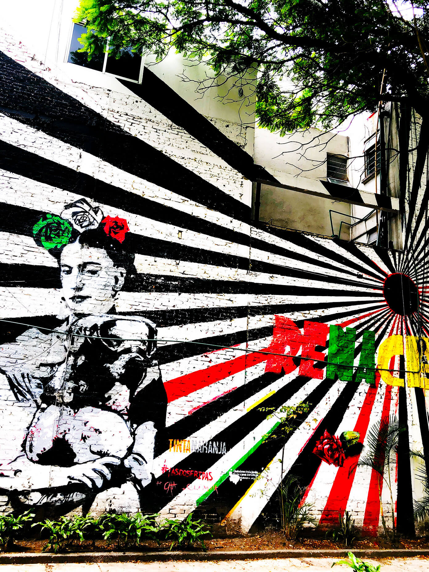Frida Mural in Roma Norte