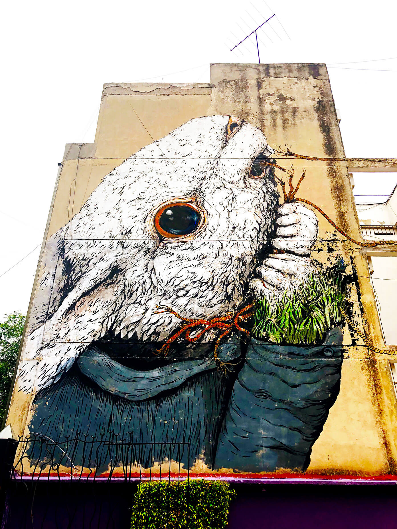 Rabbit Mural in Roma Mexico City