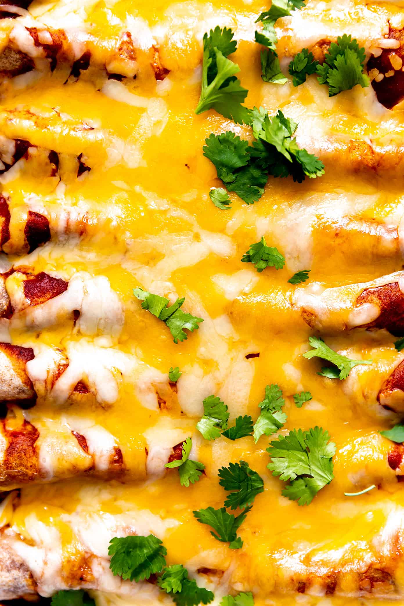 Vegetarian Enchiladas Closeup